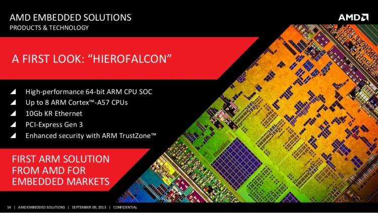 SoC AMD Hierofalcon