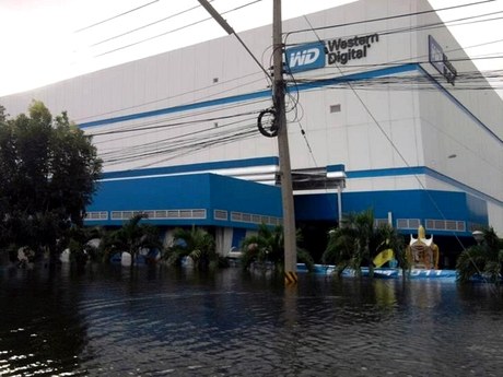 Наводнение на заводе WD