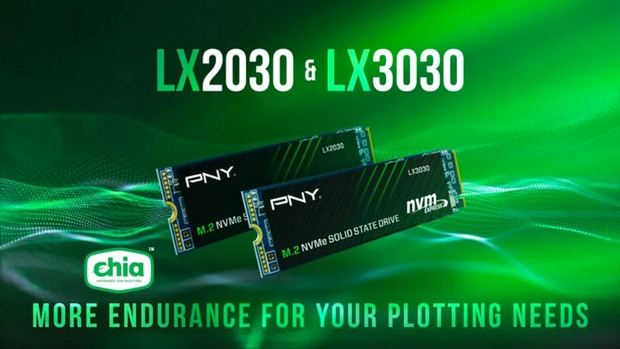 SSD PNY LX2030 и LX3030