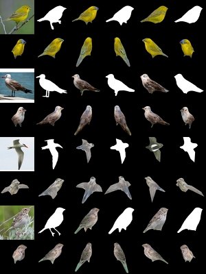 Примеры моделирования птиц